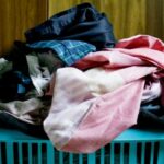 Why You Should Avoid Doing Your Laundry? – Zonearticles.com – Free Article Submission & Classified Listing Portal