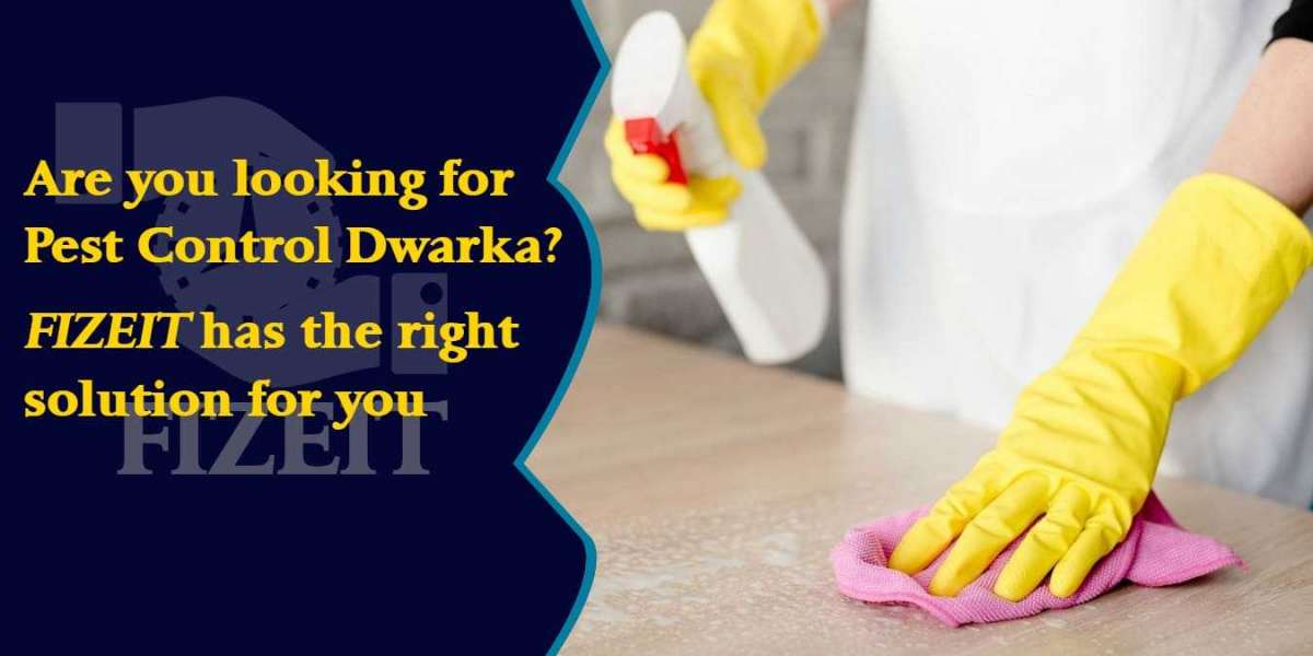 Pest Control Dwarka | Pest Control Service in Dwarka at low affordable price