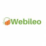 webileo profile picture