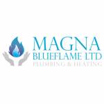 Magna Blueflame Ltd Profile Picture