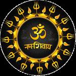 Vishvanath Astrologer Profile Picture