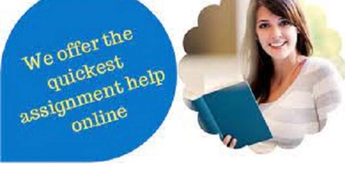 Assignment Help Online Best Service Provider