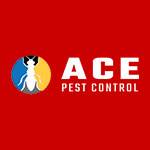 Rodent Control Brisbane