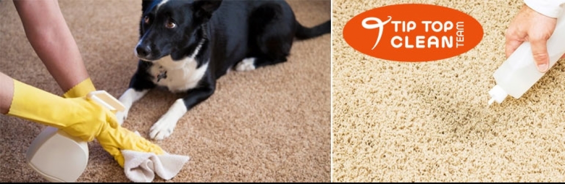 Best Carpet Cleaning Hobart Cover Image