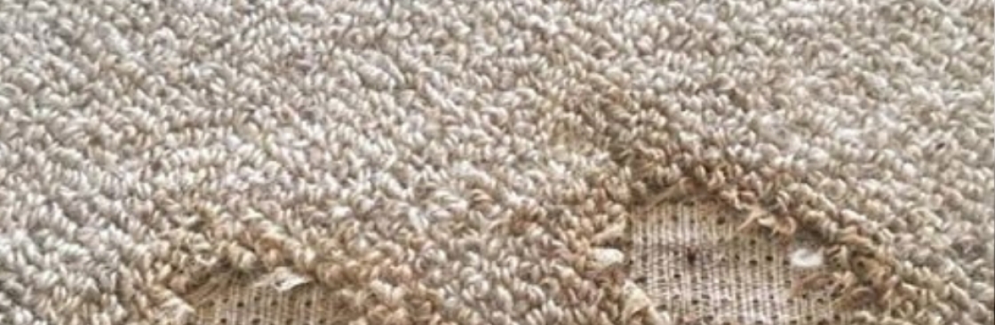 Best  Carpet Repair Hobart Cover Image