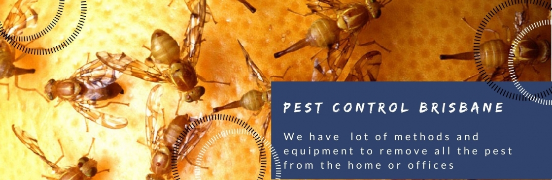Pest Control Brisbane Cover Image