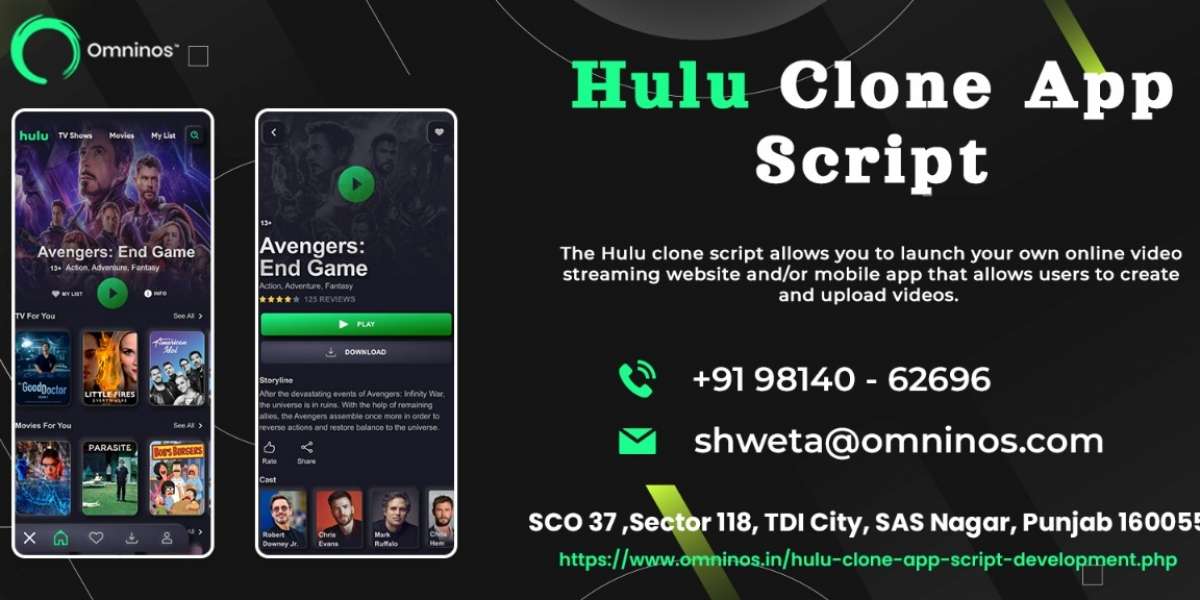 Hulu clone development company