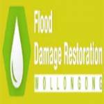 Water Damage Recovery Wollongong Profile Picture