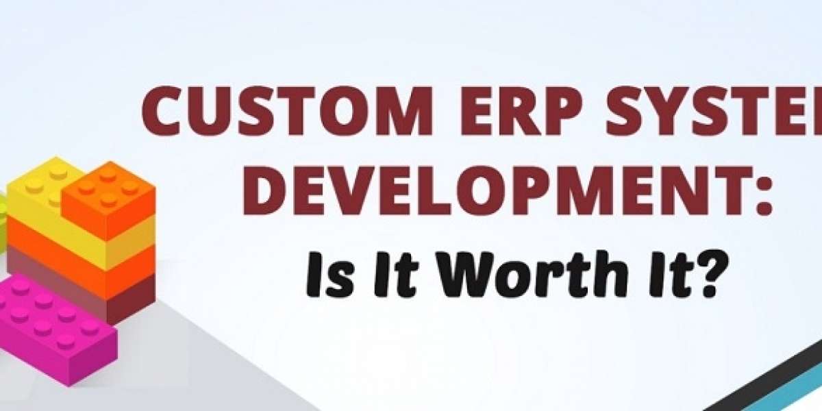 Motivations To Create Custom ERP System for Your Business