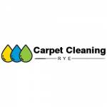 Professional Carpet Cleaning Rye Profile Picture