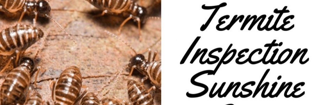 Local Termite Control Sunshine Coast Cover Image