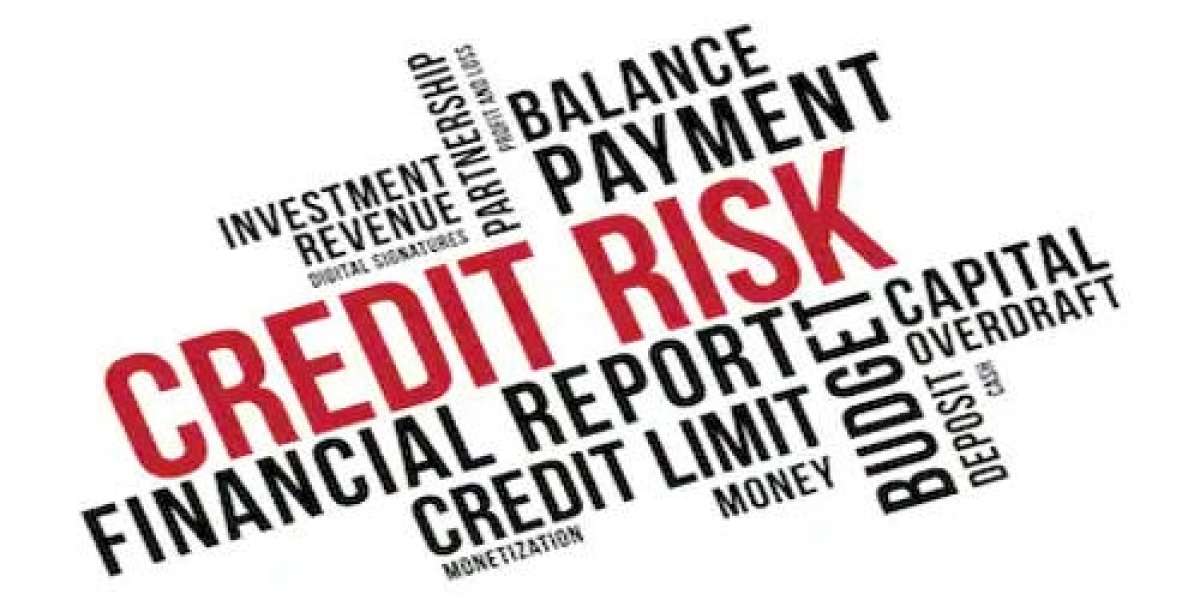 Applied Credit Risk Analysis - a critical s**** for finance professionals