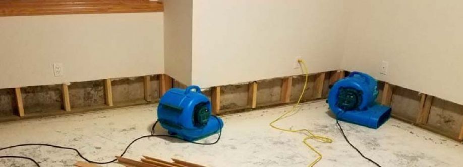 Water Damage Recovery Wollongong Cover Image