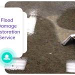 Flood Damage Restoration Geelong Profile Picture