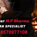 Astrologer M.P Sharma Profile Picture