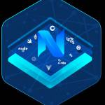 NON-Fungible Token Development Platform profile picture