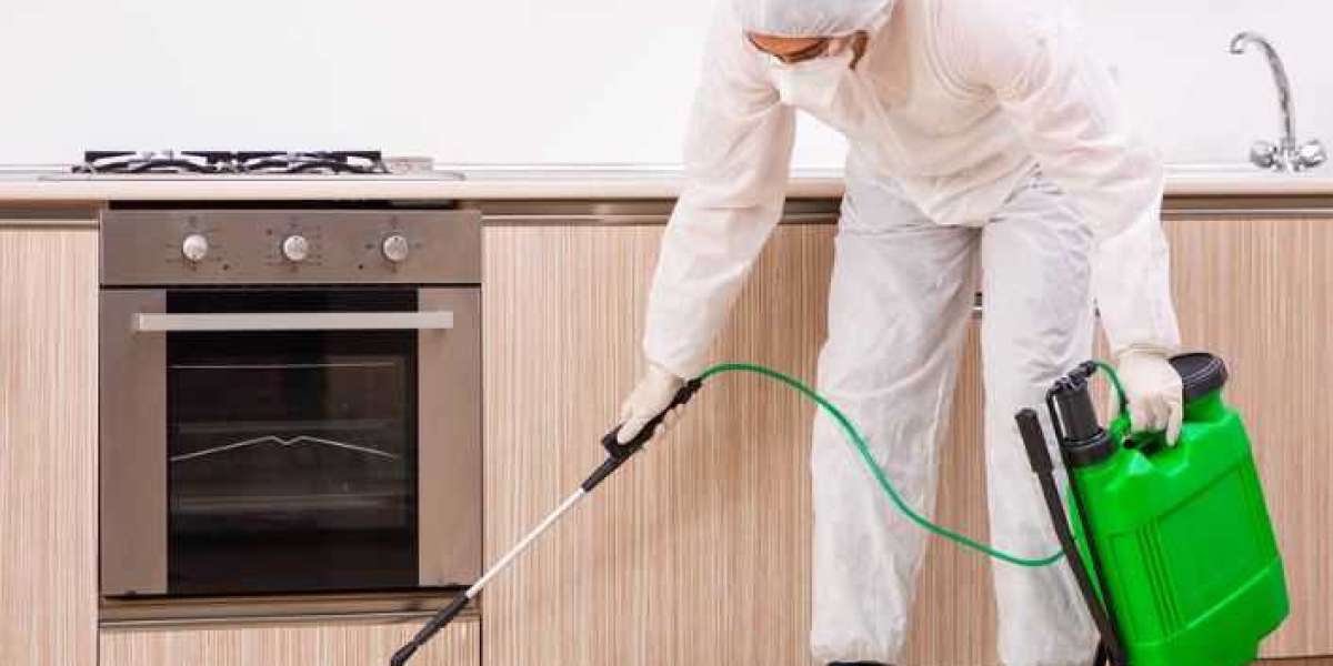 Pest Control Services Worli Offers from the most popular company