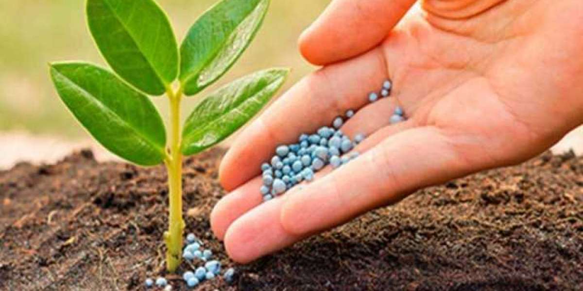 Agricultural Micronutrients Market Global Industry Overview, Sales Revenue, Demand and Forecast by 2021-2026