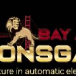 Bayarea Lionsgate Profile Picture