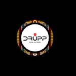 Drupp Logistics Support Systems Profile Picture