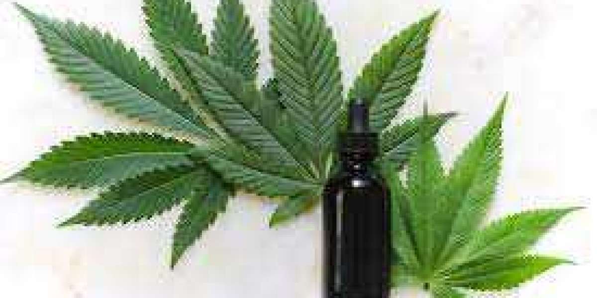 How Cannabis Oil And Cancer can Save You Time