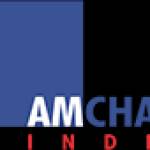 Amcham India profile picture