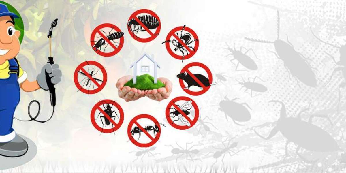 4 Ultimate Benefits of Hiring a Pest Control Service