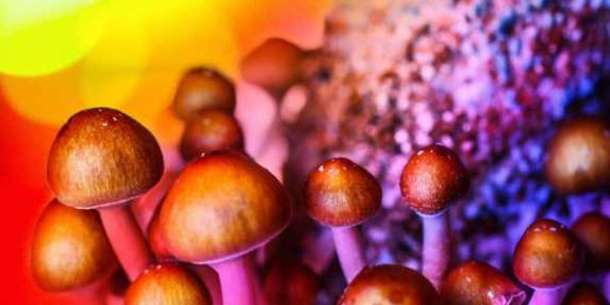 Understanding the Buzz About Magic Mushrooms