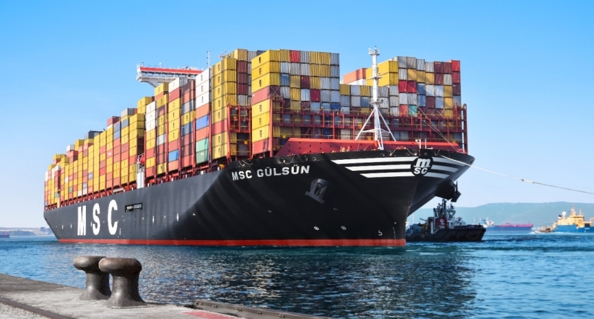 MSC largest ocean carrier by operated vessel capacity | Shipping