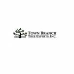 Town Branch Tree Expert