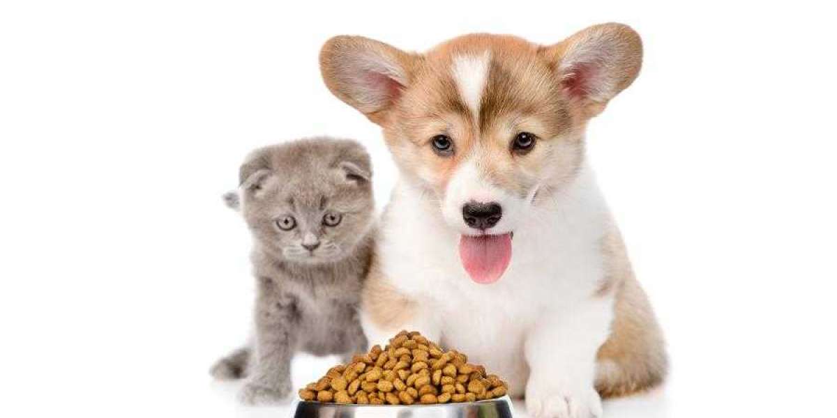 Pet Food Market Overview, Industry Top Manufactures, Market Size, Opportunities and Forecast by 2021-2026