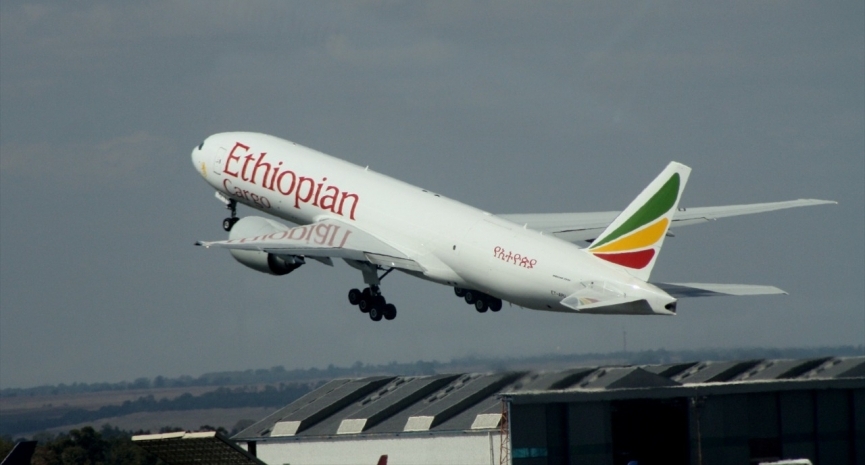 Ethiopian Cargo & Logistics Services avails online air cargo booking platform | Aviation