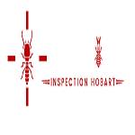 Termite Inspection Hobart