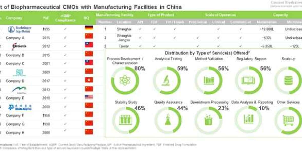 China Biopharmaceutical Contract Manufacturing Market - Gaining Traction in the Pharmaceutical Industry