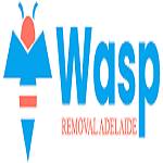 Wasp Removal Adelaide Profile Picture