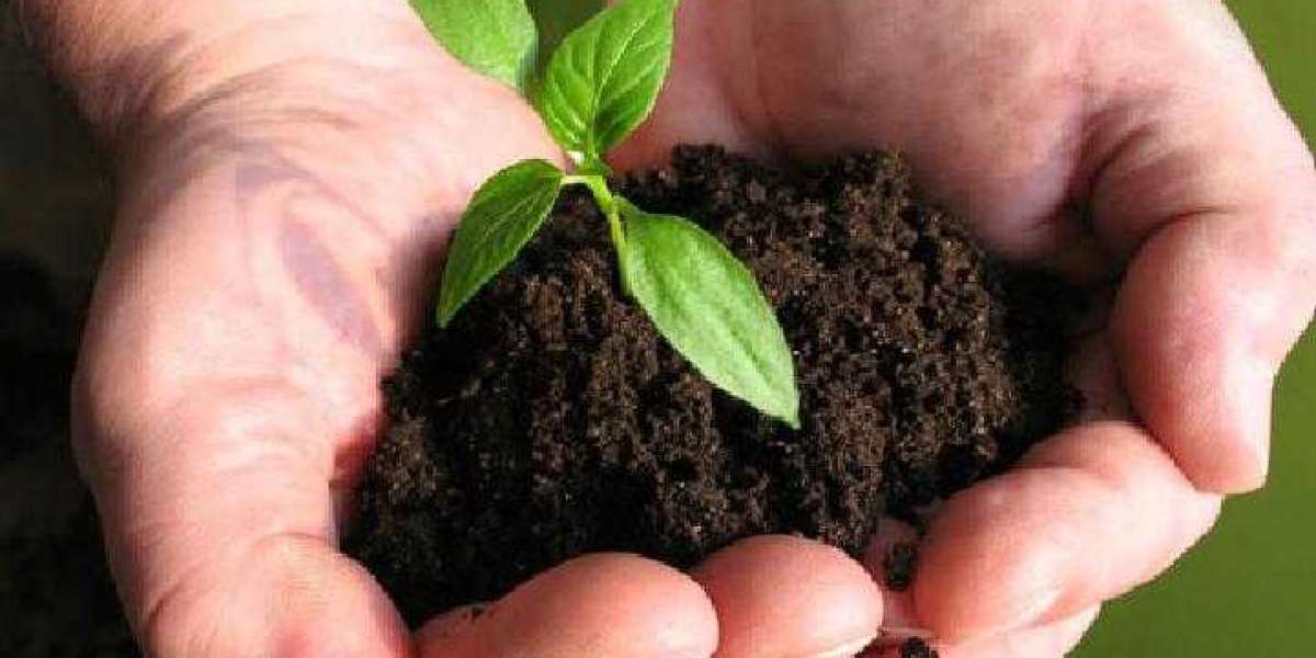 Biofertilizer Market 2022-2027 | Enhancing Huge Growth and Latest Trends by Top Players