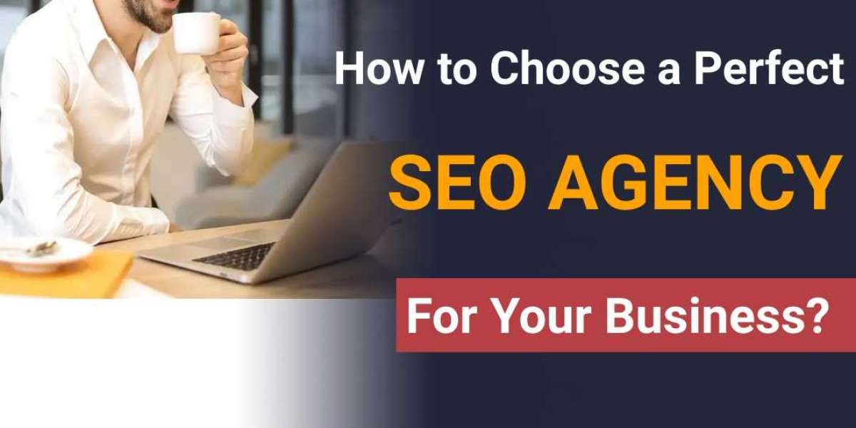How to Choose a Perfect SEO Agency For Your Business?