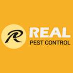 Real Silverfish Control Adelaide