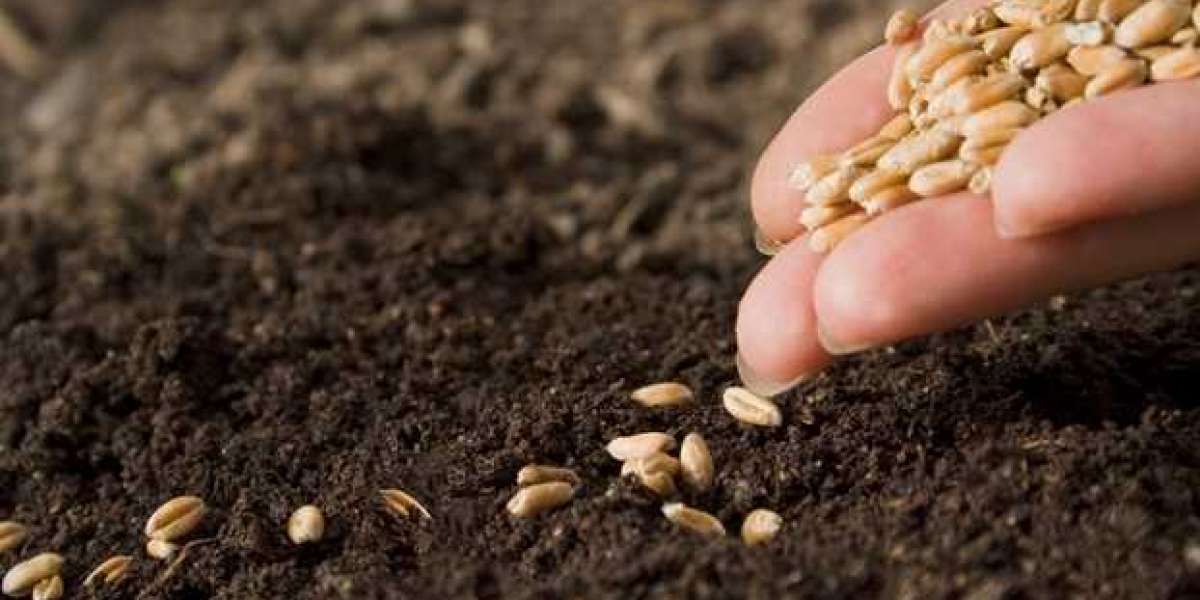 Seed Industry in India Size, Companies Share, Growth, Opportunities, Trends And Scope Forecast To 2026