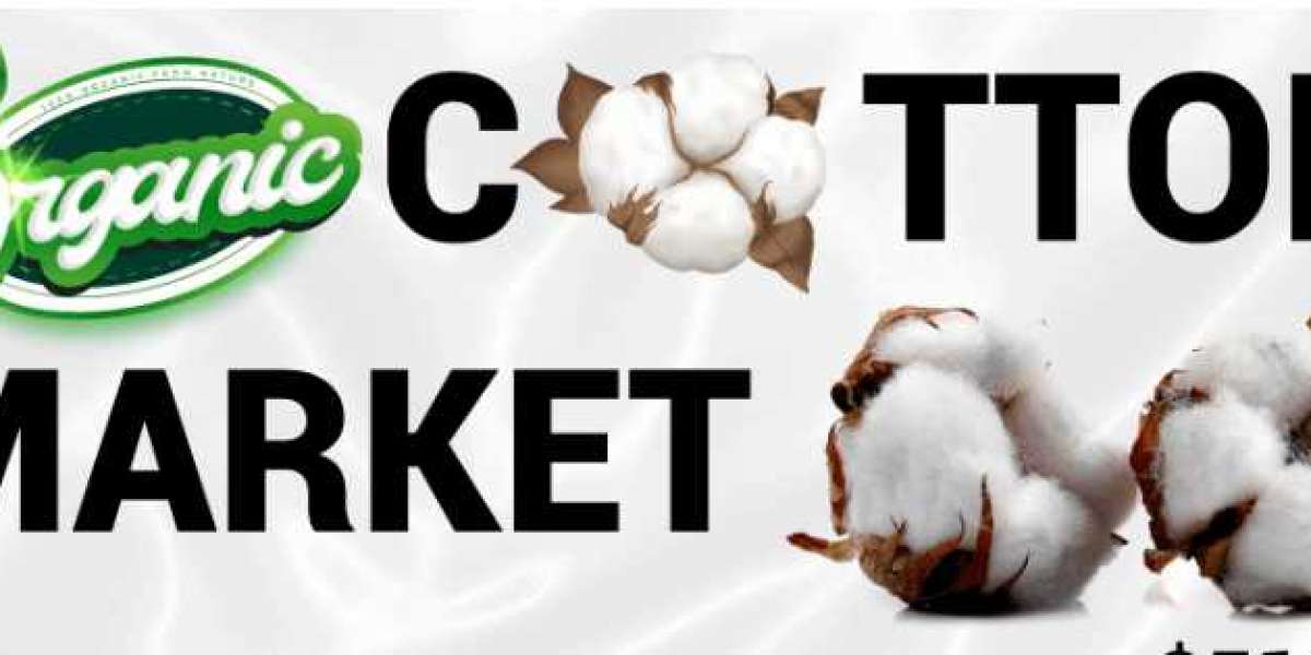 Organic Cotton Market , Key Analysis And Comprehensive Growth Forecast by 2028