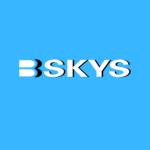 Bskys Adult Toys Profile Picture