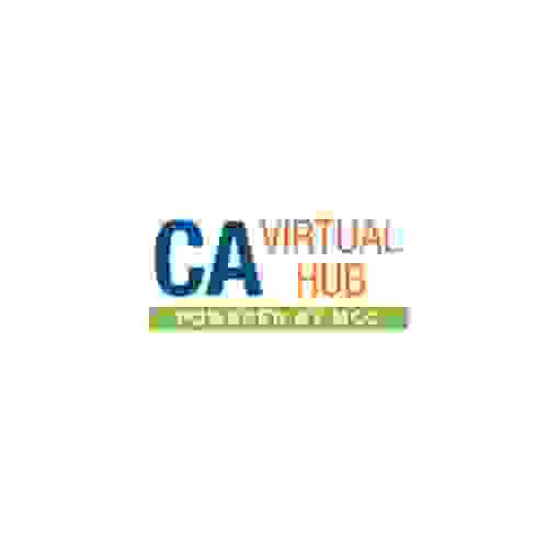 CA Virtual Hub Profile Picture