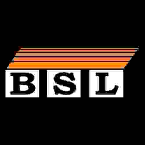 BSL Scaffolding Profile Picture